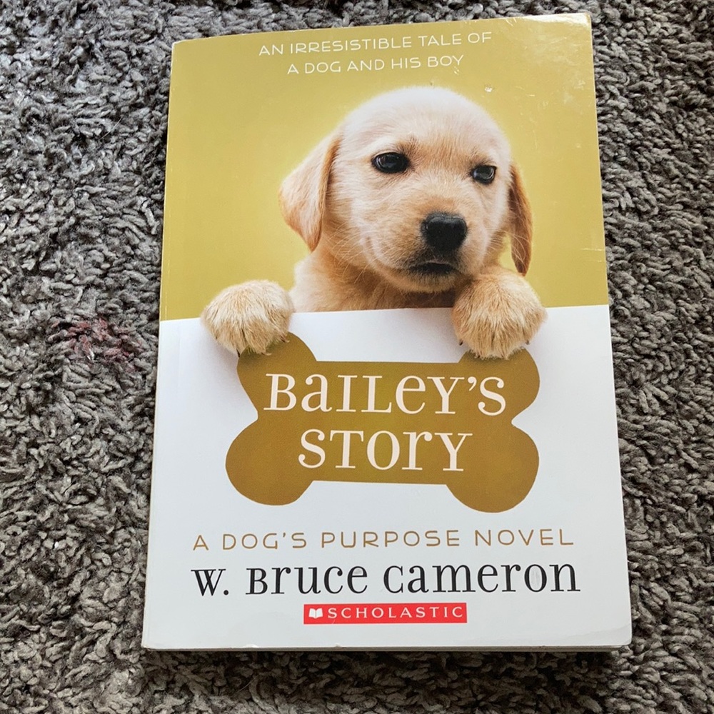 Book-Baileys story